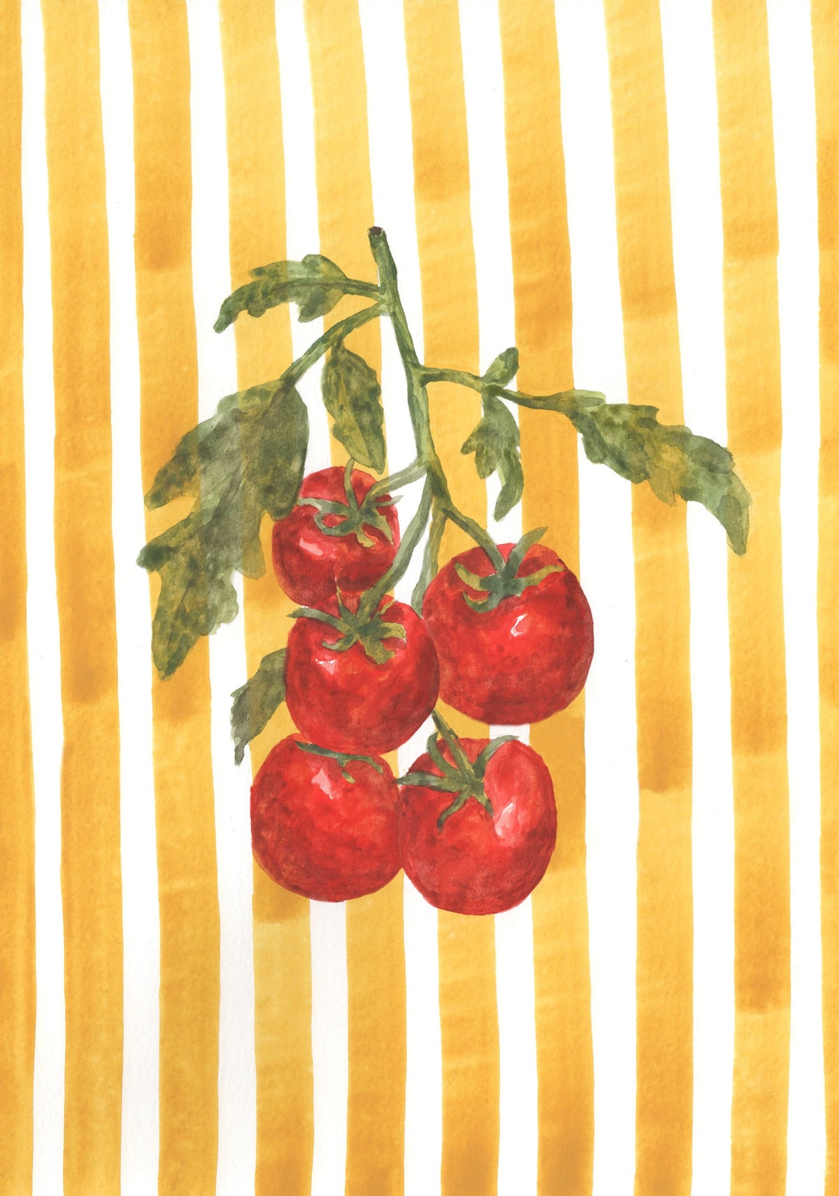 Tomatoes on Yellow Stripes
