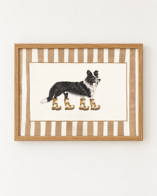 Border Collie in Sheep Wellies