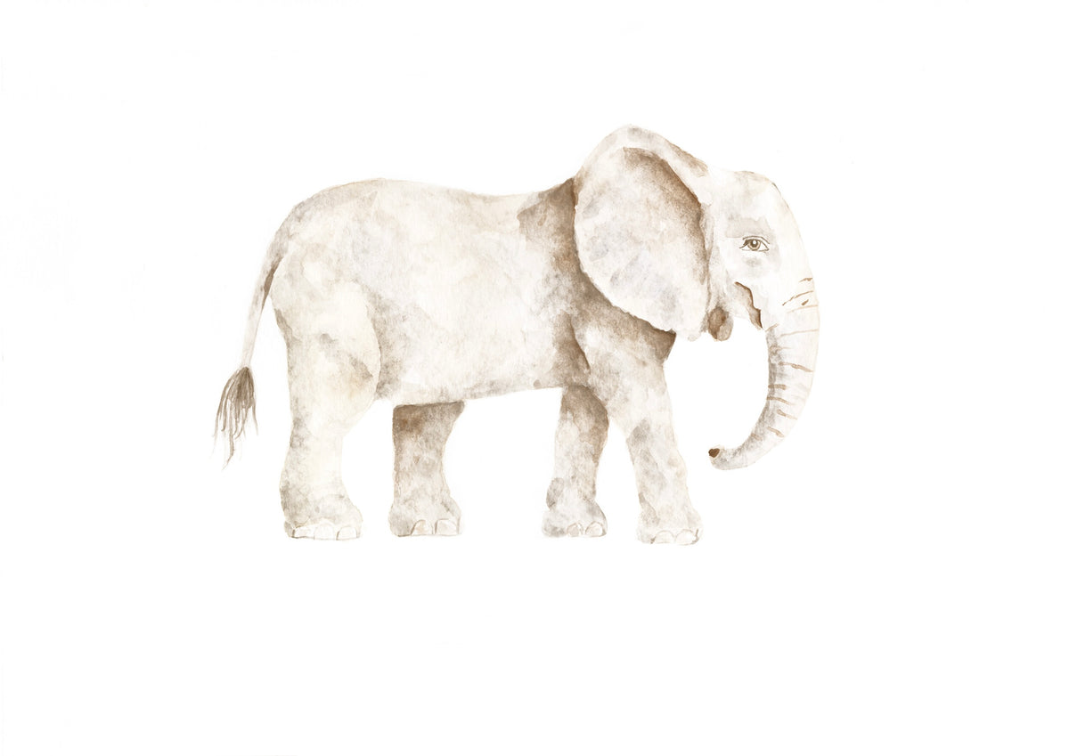 Elephant