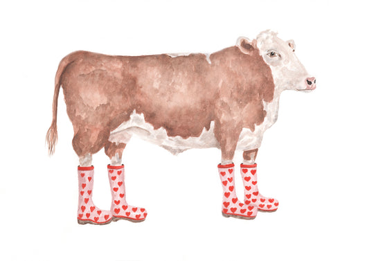 Hereford Cow in Heart Wellies