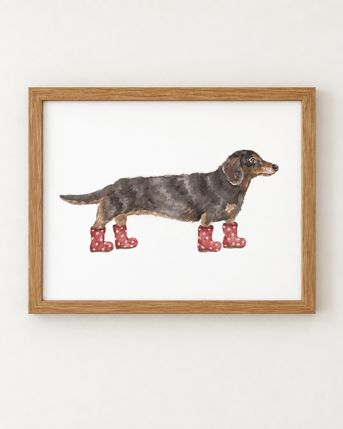 Dachshund in Polka Dot Wellies