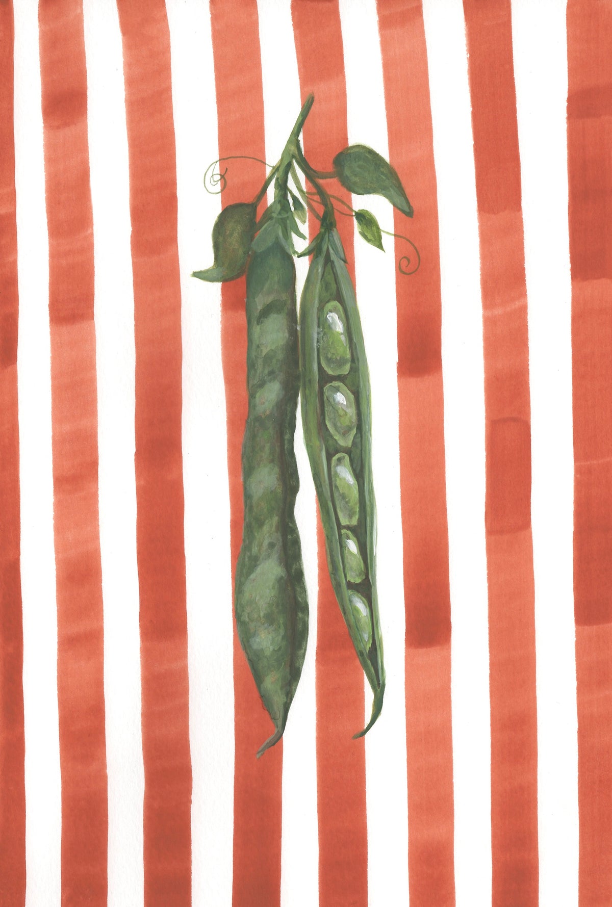 Peas on Terracotta Stripes